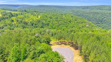 DJI_20250626023028_0186_D