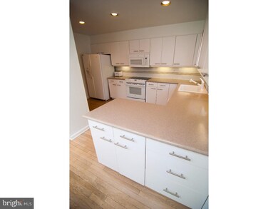 357 Peachtree Dr, Jenkintown, PA 19046 - photo 6