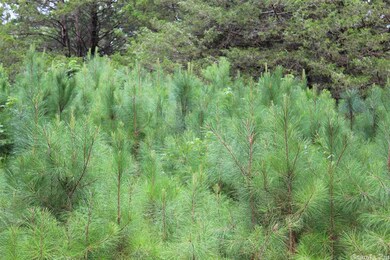 0 Randall Ave unit 22022383, Heber Springs, AR 72543 - photo 7