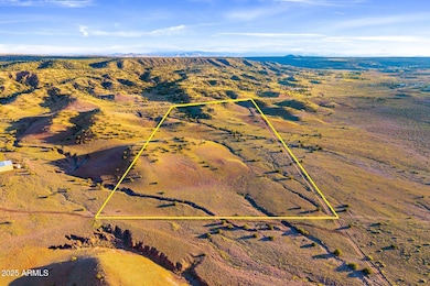 37297 Arizona 61, Concho, AZ 85924 - photo 5