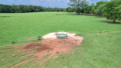 2700 Silo Rd, Edison, GA 39846 - photo 6