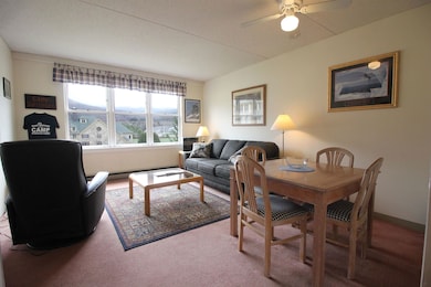 28 Packards Rd unit 537, Waterville Valley, NH 03215 - photo 4