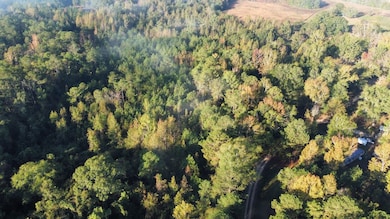 0 Highway 81, Notasulga, AL 36866 - photo 6