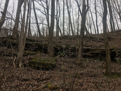 0 Rutherford Ln unit RTC2867601, Smithville, TN 37166 - photo 6