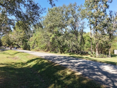 2433 Carriage Ridge Ln, Conroe, TX 77384 - photo 7