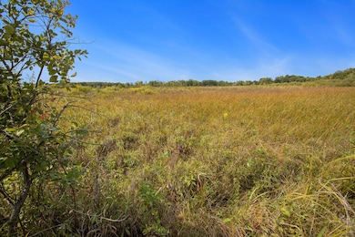 0 Marl Lake Rd, Athens Township, MI 49011 - photo 4