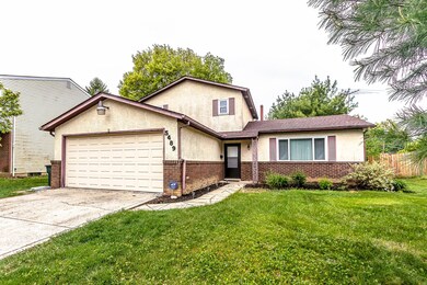 5489 Cedarbush Drive-3