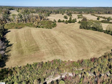 258 Dupree Farm Rd, Buffalo, SC 29321 - photo 4