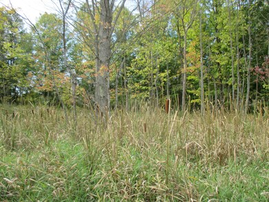 Parcel A N Felch Ave, Lincoln Township, MI 49349 - photo 3