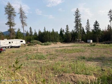 29224 N Old Highway 95, Athol, ID 83801 - photo 6