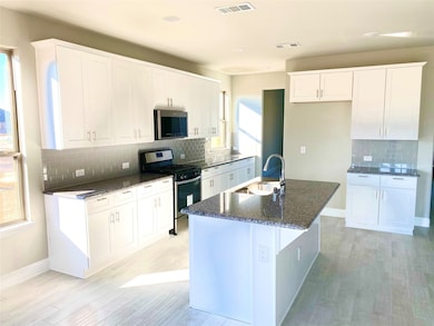 2732 Spring Creek Trail, Prosper, TX 75078 - photo 6