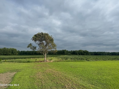 704 Wade Rd, Scotland Neck, NC 27874 - photo 2