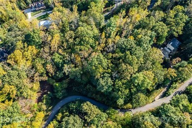 34 Forest Spring Dr unit 32, Asheville, NC 28804 - photo 4