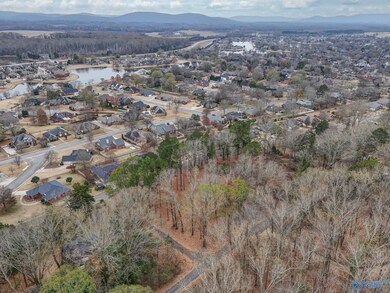 2571 Little Cove Rd, Owens Cross Roads, AL 35763 - photo 7