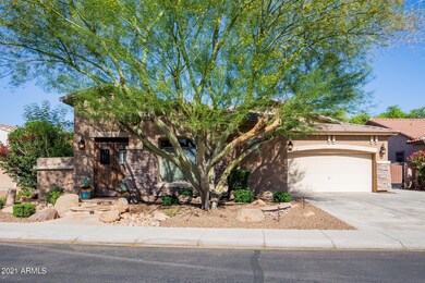 0002-Mesquite-2