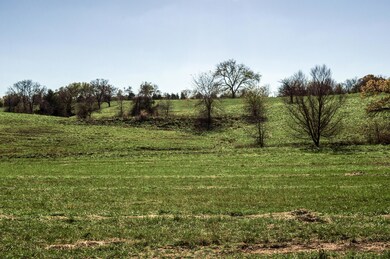 DSC_0015 (1)