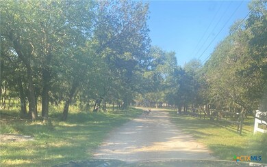 3141 Nibling Ln, Temple, TX 76502 - photo 4