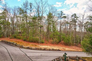 Lot 14 My Forest Trail, Morganton, GA 30560 - photo 4