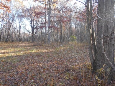 7717 N 500 W, Michigan City, IN 46360 - photo 3