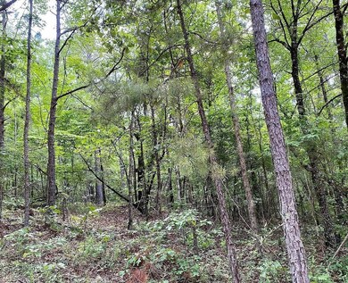 Chubbahatchee Circle 3