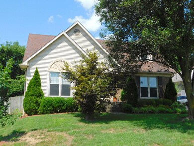 8202 Rome Beauty Way, Louisville, KY 40228 - photo 3