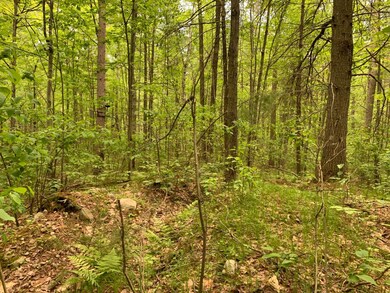 Lot 5 Somo Ridge Dr, Tomahawk, WI 54487 - photo 6