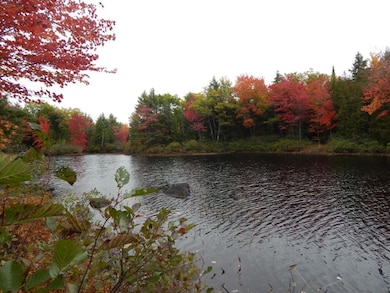 Sherwood Pond - north frontage