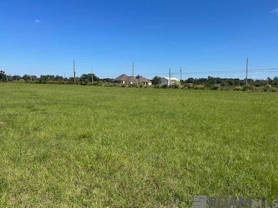 02 Old Highway 51, Amite, LA 70422 - photo 6