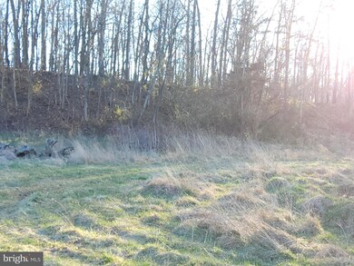 Lot 2 Route 51 - Middleway Pike, Bunker Hill, WV 25413 - photo 2