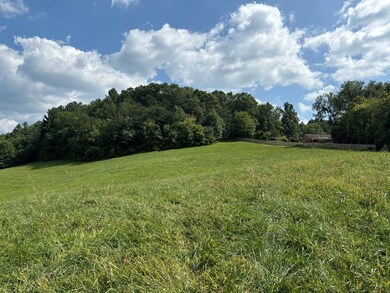 9.12 Mission Hill Rd, Hayesville, NC 28904 - photo 7