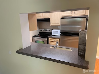 911 Ravens Crest Dr unit 911, Plainsboro, NJ 08536 - photo 5