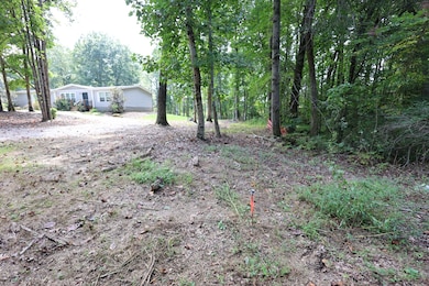 245 Woolf Pass Ln, Sparta, TN 38583 - photo 2