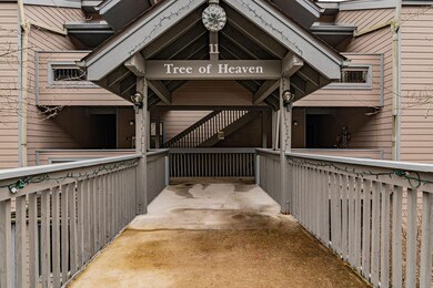 11TreehouseLaneUnit7Branson-4