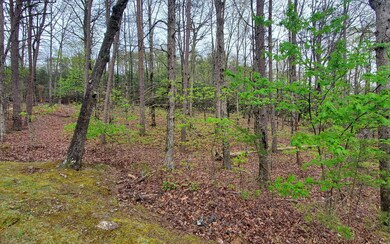 Additional View