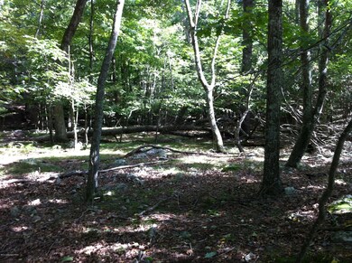 222 Rabbit Ct, Lehman Township, PA 18324 - photo 6