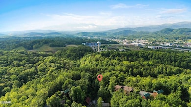 3 Lots Alpine Mountain Way, Pigeon Forge, TN 37863 - photo 4