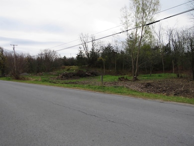 28844 Cottage Hill Rd, Alexandria, NY 13679 - photo 2