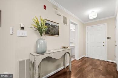 13100 Millhaven Place unit F, Germantown, MD 20874 - photo 4