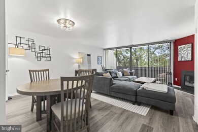 2216 S Quincy St unit 2, Arlington, VA 22204 - photo 6