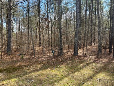 1031 Water Way, Lincolnton, GA 30817 - photo 4