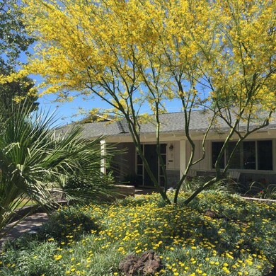 Lato front elevation pic