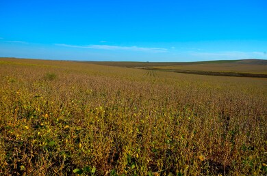 NE4 Sec 21 321st Ave, Central Lyman, SD 57544 - photo 2