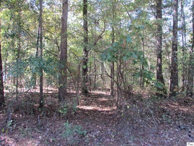 0 Oklahoma St, Bastrop, LA 71220 - photo 2
