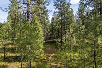LOT 22 Couples Ct, Chewelah, WA 99109 - photo 4