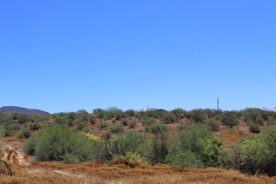 Natural Landscape