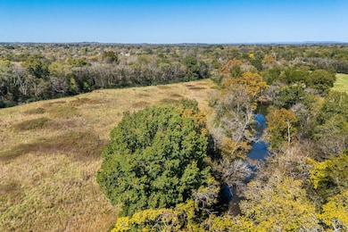 2159 Verona Caney Rd, Lewisburg, TN 37091 - photo 5