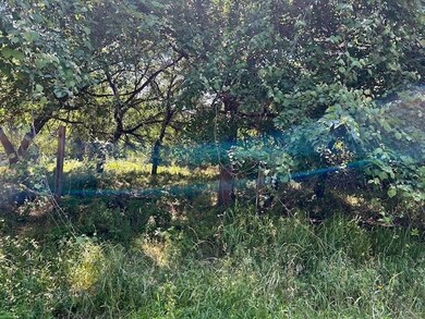 7311 Cortez Trail, Horseshoe Bend, TX 76087 - photo 2