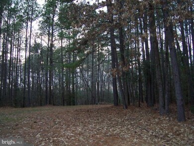 23425 Huckleberry Way, Hollywood, MD 20636 - photo 5