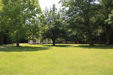 Front Yard 2