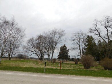 Road View